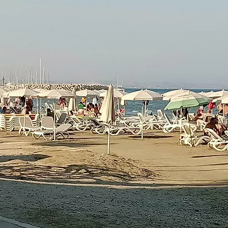 Near The * Ларнака